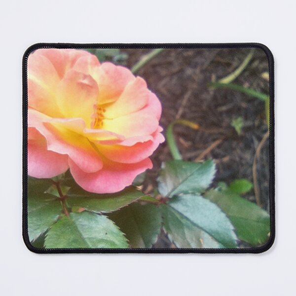 Item preview, Rose on a Mulch Bed Pink and Orange designed and sold by Mothe3rd.