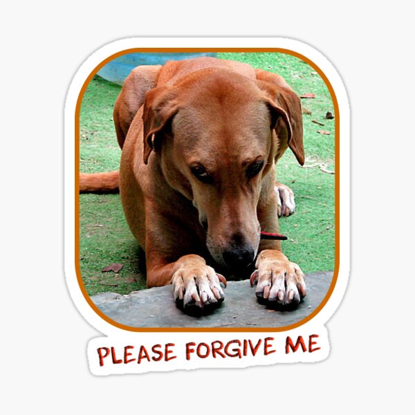 Please forgive me Sticker