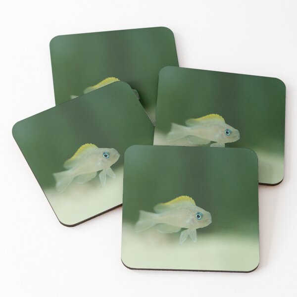 Item preview, Fish (neolamprologus caudopunctatus) designed and sold by DejanVuk.