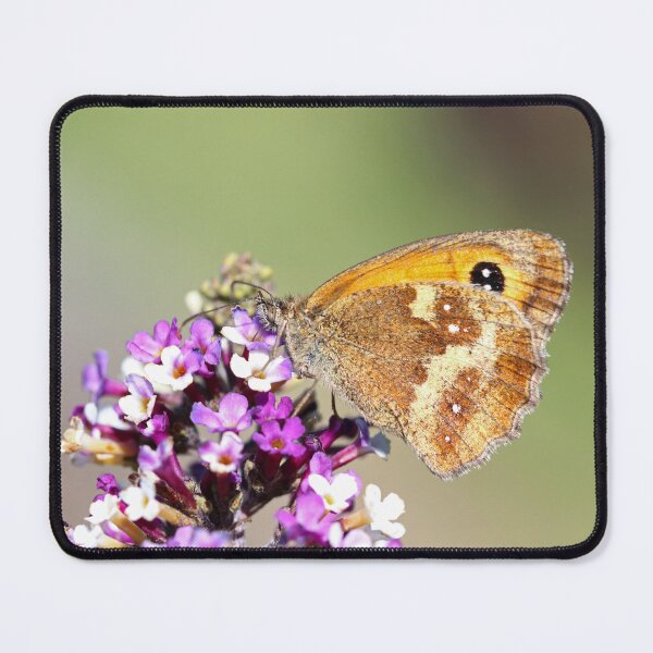 Item preview, Gatekeeper butterfly designed and sold by GreyFeatherPhot.