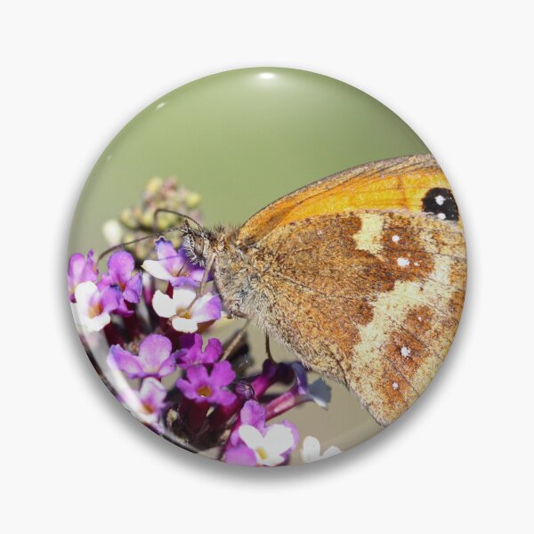 Item preview, Gatekeeper butterfly designed and sold by GreyFeatherPhot.