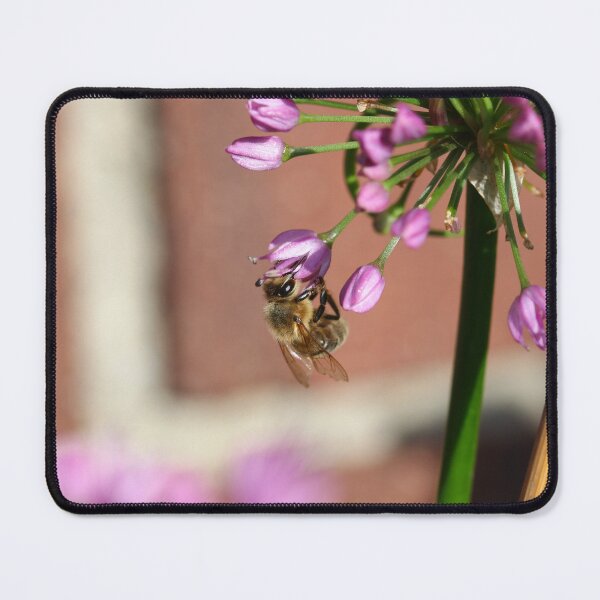 Item preview, Honeybee clinging to an allium flower designed and sold by GreyFeatherPhot.