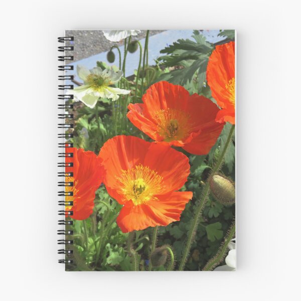 Item preview, Orange Poppy Quartet designed and sold by CarolBeeDesigns.