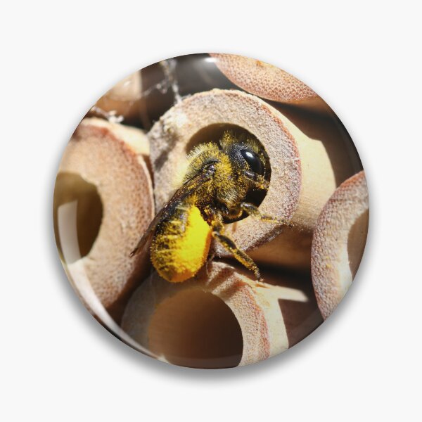 Item preview, Leafcutter bee collecting pollen for her nest designed and sold by GreyFeatherPhot.