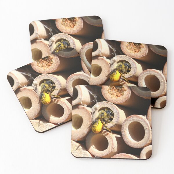 Item preview, Leafcutter bee collecting pollen for her nest designed and sold by GreyFeatherPhot.