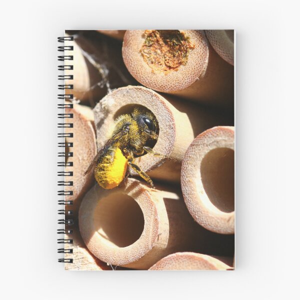 Item preview, Leafcutter bee collecting pollen for her nest designed and sold by GreyFeatherPhot.