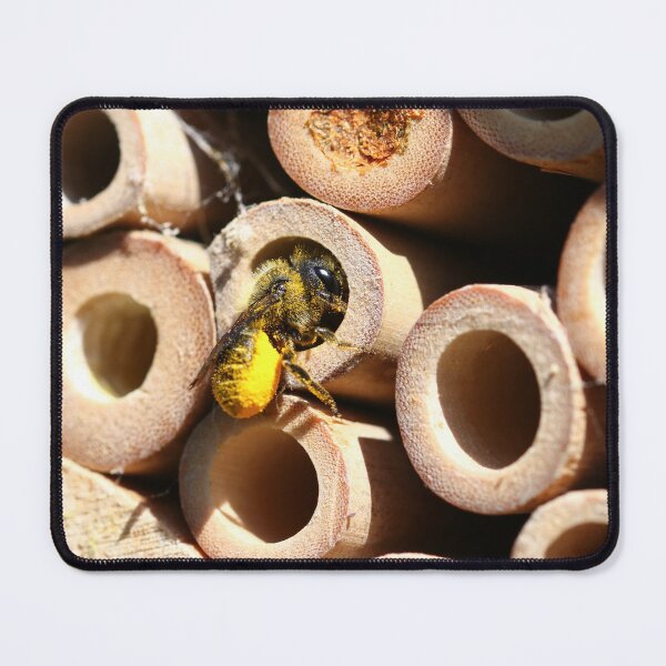 Item preview, Leafcutter bee collecting pollen for her nest designed and sold by GreyFeatherPhot.