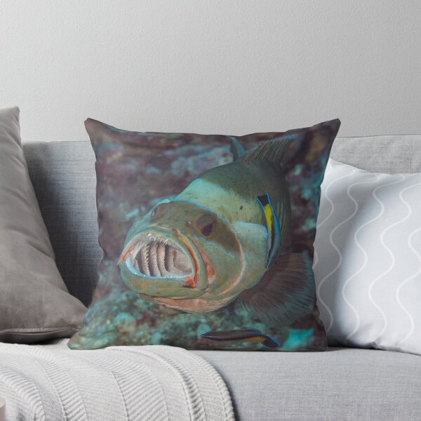 Item preview, Open Wide designed and sold by Mark Rosenstein.