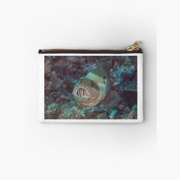 Item preview, Open Wide designed and sold by Mark Rosenstein.