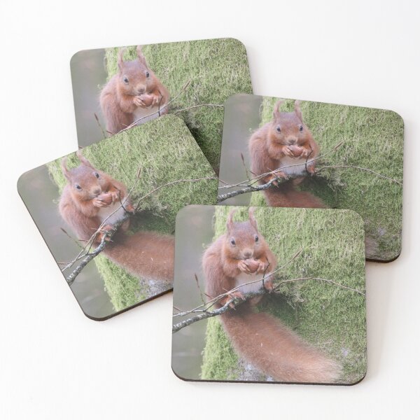 Item preview, Red Squirrel designed and sold by Dorothy Thomson.