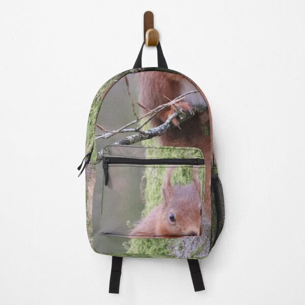 Item preview, Red Squirrel designed and sold by Dorothy Thomson.