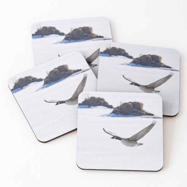 Item preview, Canada goose flying over icy lake designed and sold by Jouko Lehto Photography.