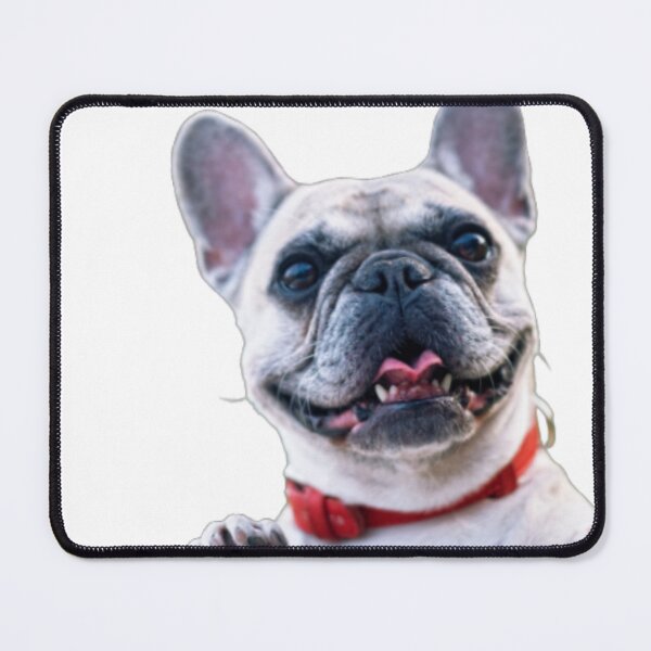Item preview, cool pug designed and sold by pokedez.