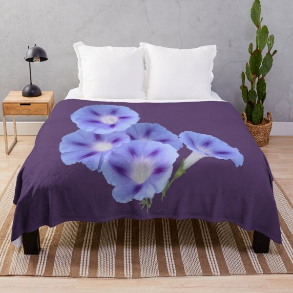 Item preview, Convolvulus Bindweed Botanical Vector Art designed and sold by taiche.