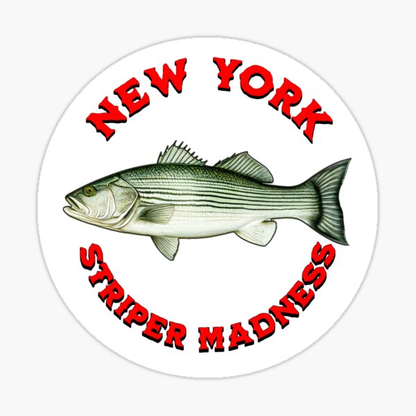 Striper Angler's Guide Bumper Sticker – On The Water
