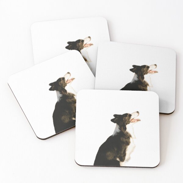 Item preview, Border collie taking in the sun  designed and sold by pokedez.