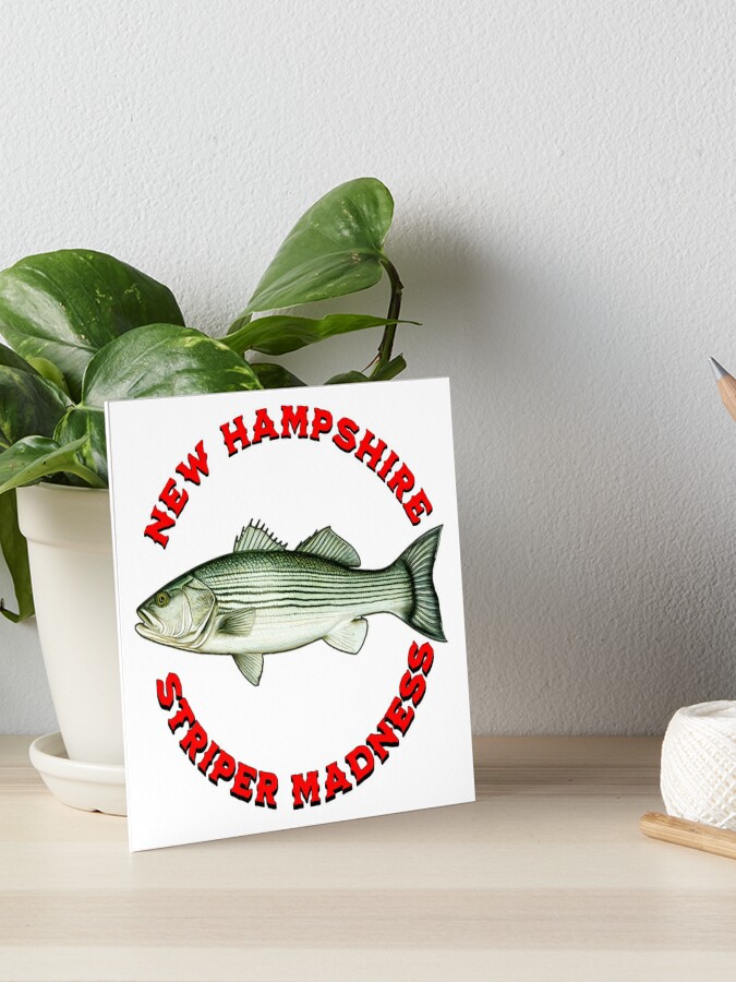 Classic Mackerel Danny Plug  Art Board Print for Sale by Noah357