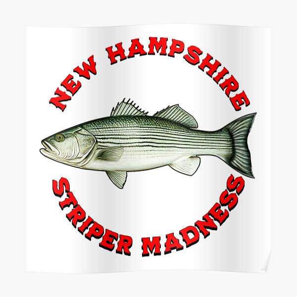 Stripers Wall Art for Sale