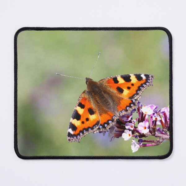 Item preview, Small tortoiseshell butterfly designed and sold by GreyFeatherPhot.