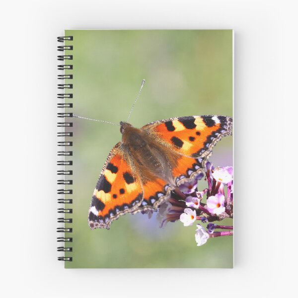 Item preview, Small tortoiseshell butterfly designed and sold by GreyFeatherPhot.