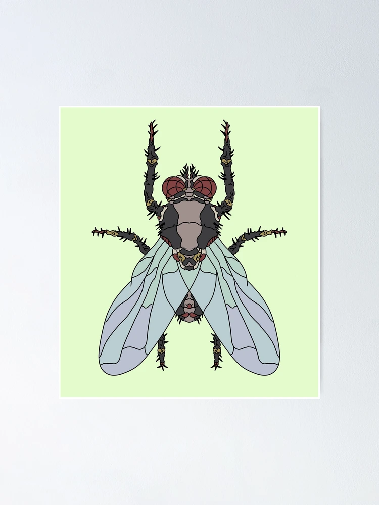 Thumbnail 1 of 3, Poster, Fly designed and sold by RaccoonBile.