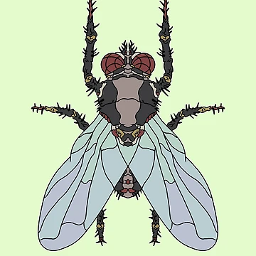 Artwork thumbnail, Fly by RaccoonBile
