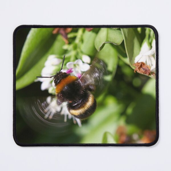 Item preview, Bumblebee wing blur designed and sold by GreyFeatherPhot.
