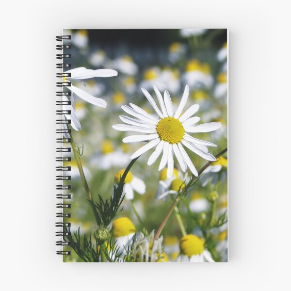 Item preview, Mid Morning Mayw33d designed and sold by Barrie Woodward.