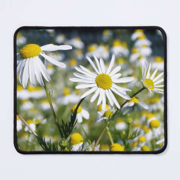 Item preview, Mid Morning Mayw33d designed and sold by Barrie Woodward.