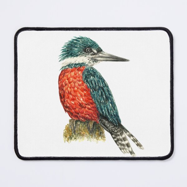 Item preview, Kingfisher (Megaceryle torquata) designed and sold by SandraHaro.