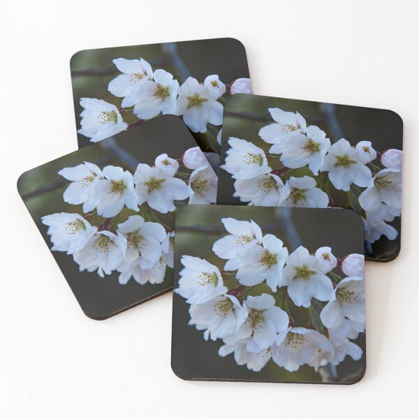 Item preview, Cherry blossoms in bloom designed and sold by Shizenkai.