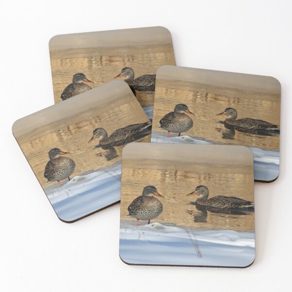 Item preview, Winter Ducks designed and sold by CommandoCrane.