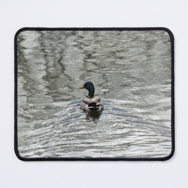 Item preview, Later Dudes:  Duck Swimming Off designed and sold by CommandoCrane.
