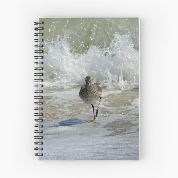 Item preview, Run Away! : Sandpiper (Willet) running from wave coming in designed and sold by CommandoCrane.