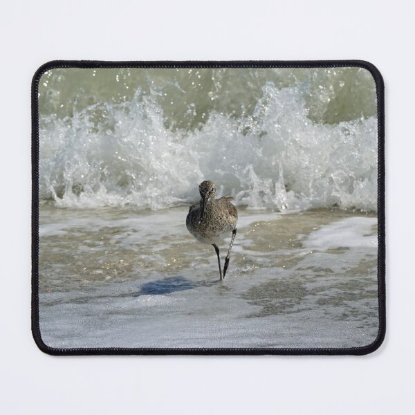 Item preview, Run Away! : Sandpiper (Willet) running from wave coming in designed and sold by CommandoCrane.