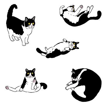 Artwork thumbnail, Tuxedo Black and white kittens sticker pack by dandelion986