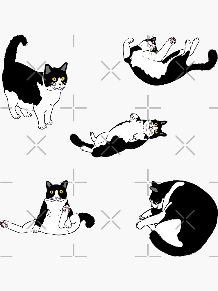 Thumbnail 3 of 3, Sticker, Tuxedo Black and white kittens sticker pack designed and sold by dandelion986.