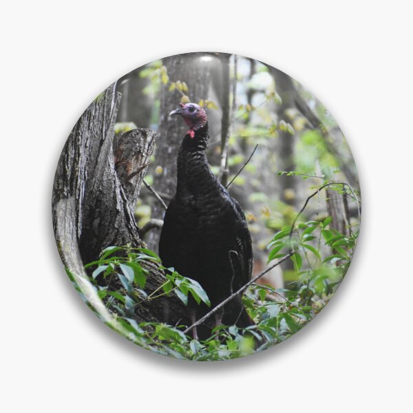 Item preview, Turkey designed and sold by Becky Laine.