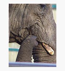 Wrinkles Photographic Print