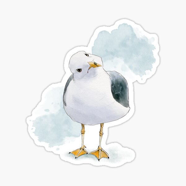 Aperçu de l'œuvre Mouette curieuse créée et vendue par JAFStudio.