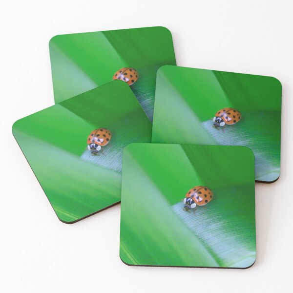 Item preview, Red ladybug sitting on leaf designed and sold by olena2552.