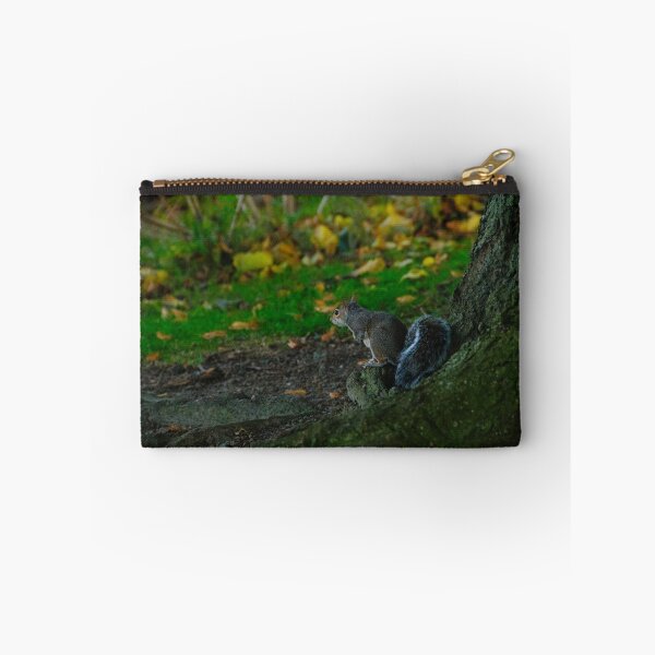 Item preview, Squirrel Nutkin designed and sold by emergentdesigns.