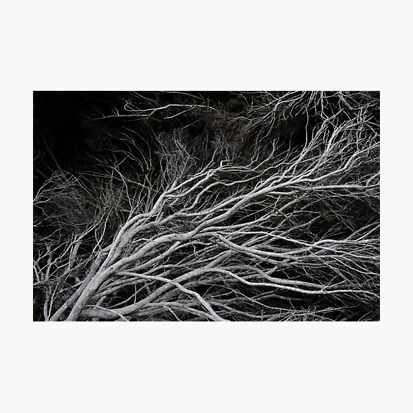 Item preview, Twisting Branches designed and sold by L.D. Franklin.
