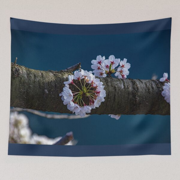 Item preview, Circular cherry blossom designed and sold by Shizenkai.