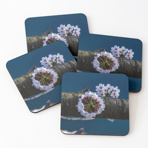 Item preview, Circular cherry blossom designed and sold by Shizenkai.