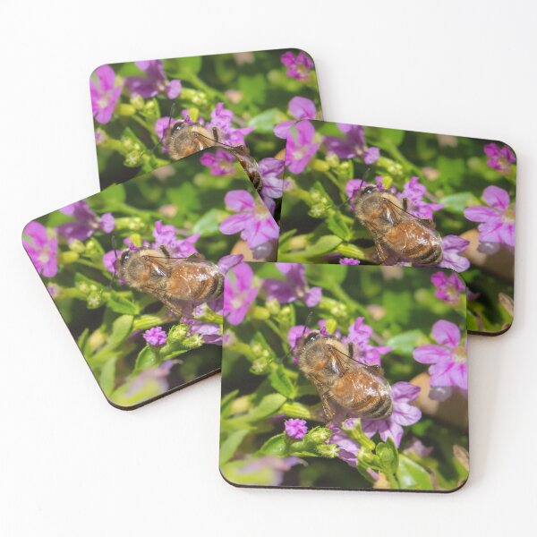 Item preview, Honey Bee 7 designed and sold by Jacquiamber.