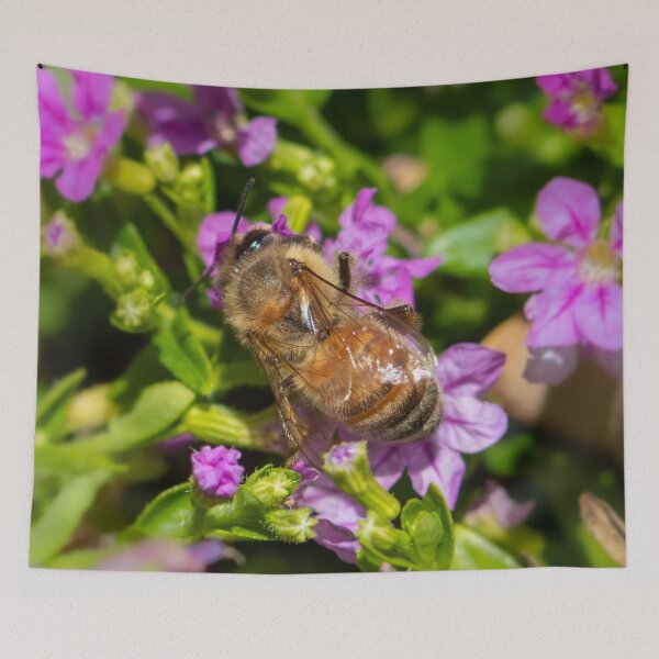 Item preview, Honey Bee 7 designed and sold by Jacquiamber.
