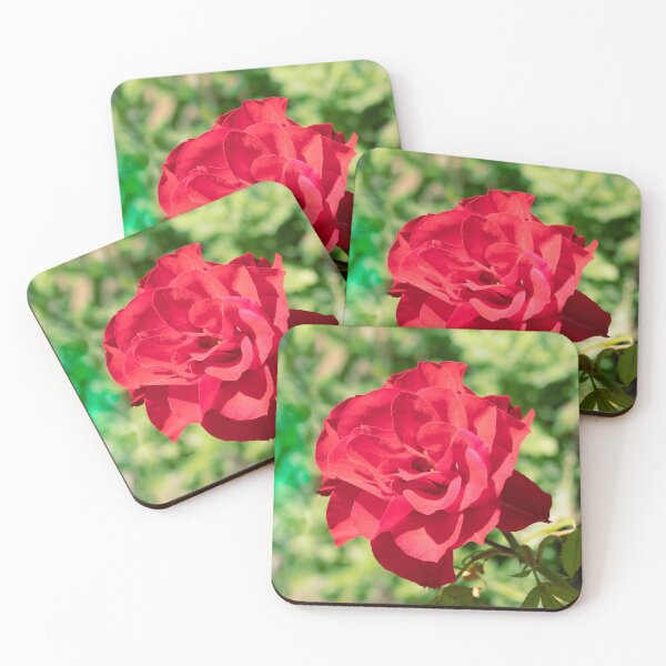 Item preview, China Rose designed and sold by Jacquiamber.