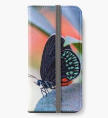comtemplation on the edge iPhone Wallet/Case/Skin