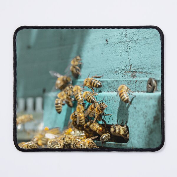 Item preview, Honey Lots Of Bees Pattern designed and sold by Binohshop.